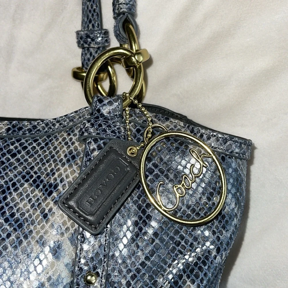 Coach Alexandra Python tote bag
